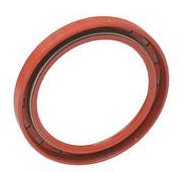 Rear Main Seal