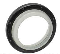 Rear Main Seal