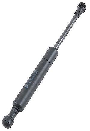Rear Strut 1